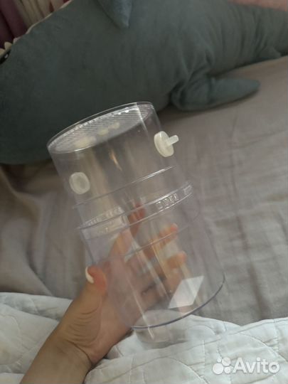 Инсектарий