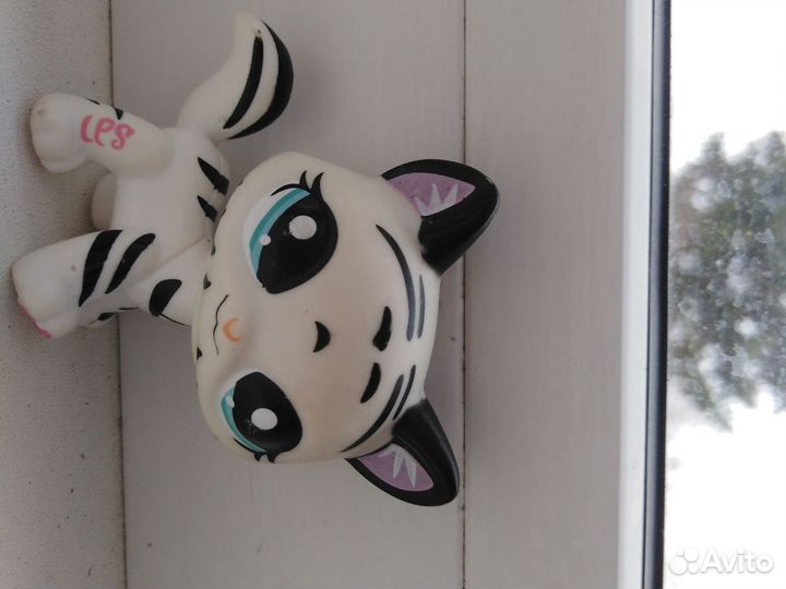 Лпс стоячка