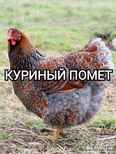 Куриный помет в мешках
