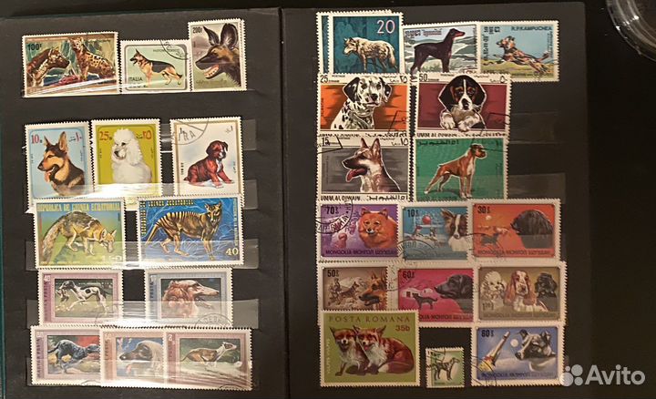 Почтовые марки по теме Собаки