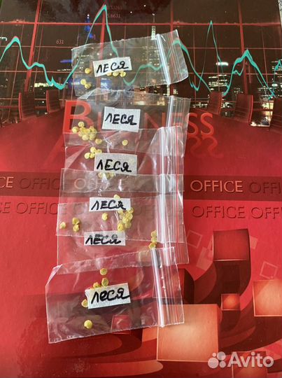 Семена коллекционных перцев