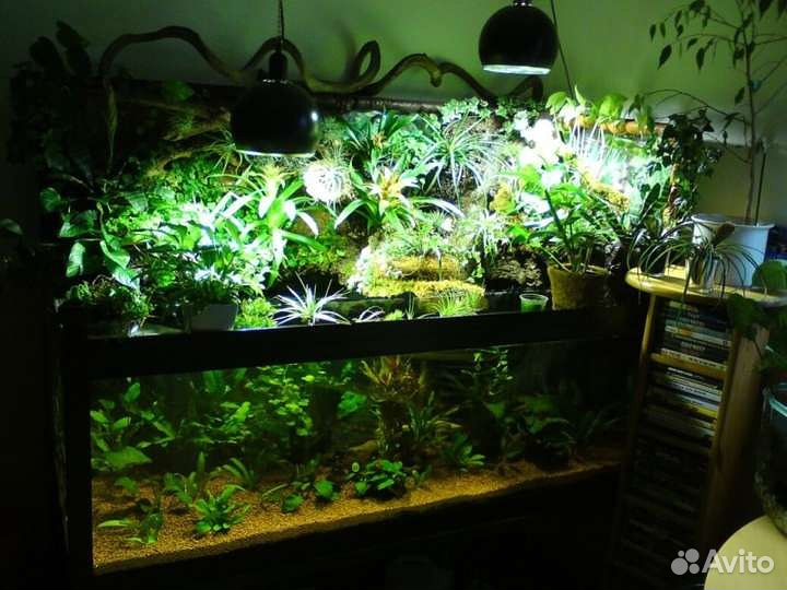 Чистка, оформление и обслуживание аквариумов