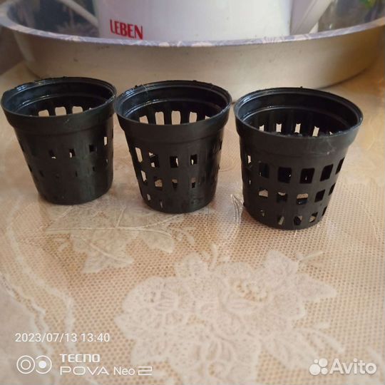 Улитки и аквариумные рыбки