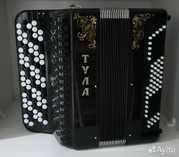 Баян Тула 209