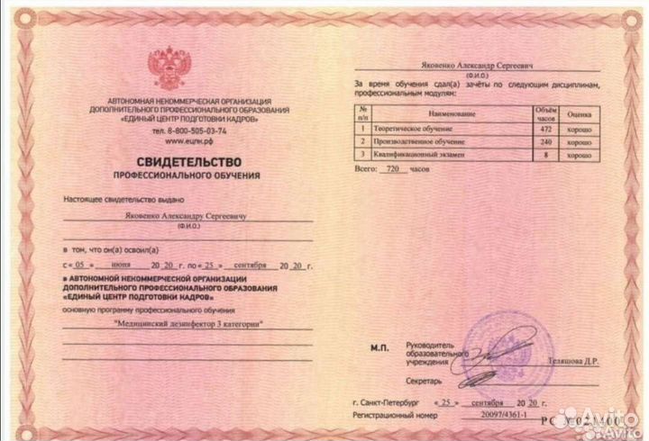 Уничтожение клопов тараканов клещей блох