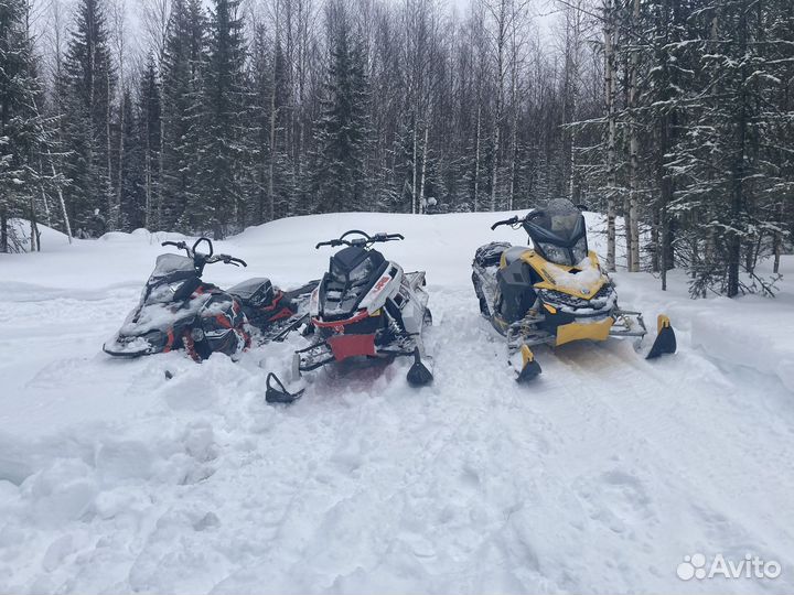 Поларис рмк 800