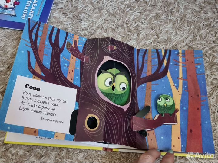 Книга