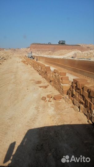 Камень ракушка