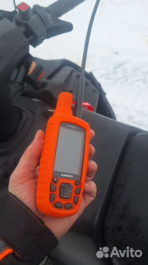 Навигатор Garmin Alpha 50