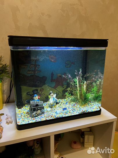 Аквариум