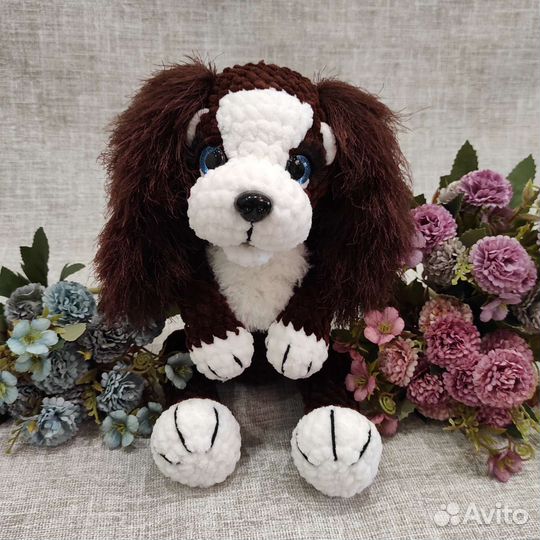 Собачка спаниель