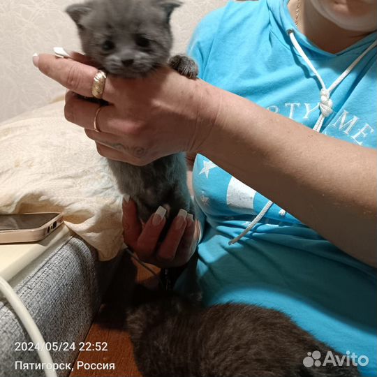 Отдам в добрые руки