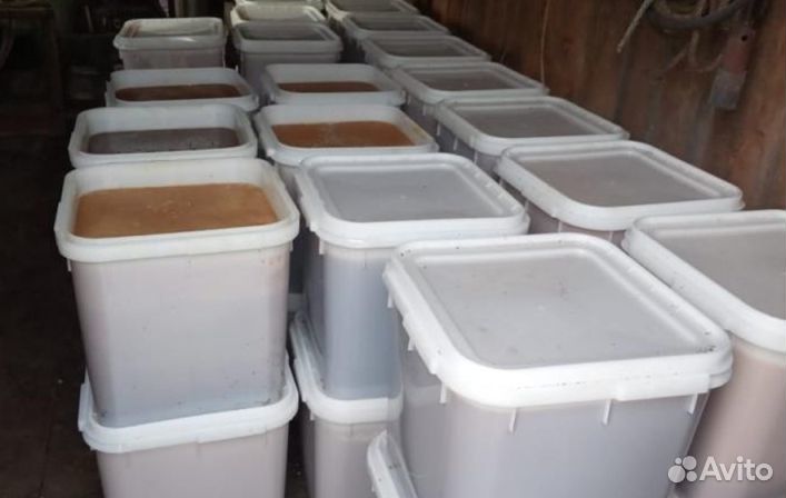 Мед натуральный с Алтая опт. min 16kg