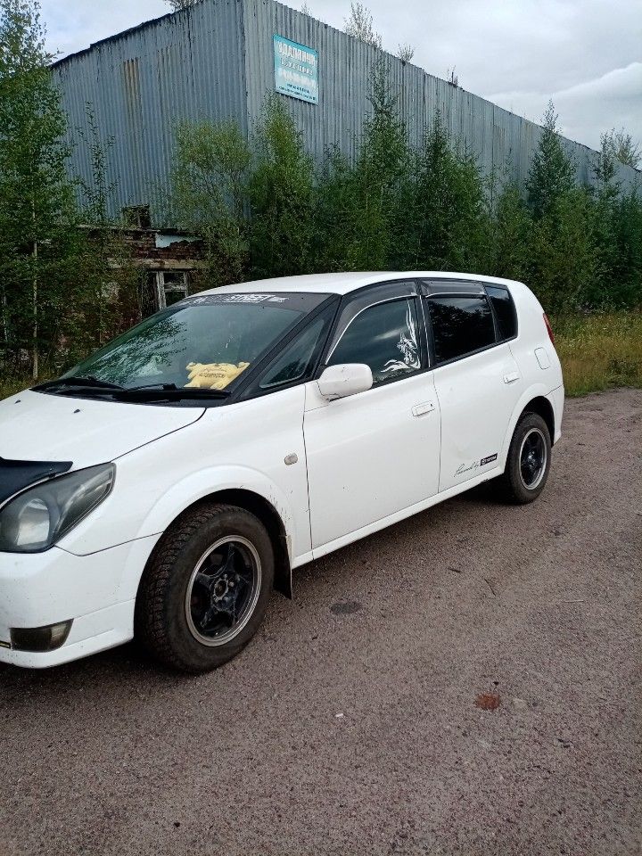 Toyota Opa: фото владельца