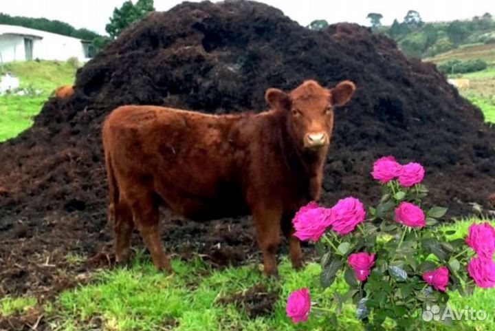 Перегной, навоз, сапропель