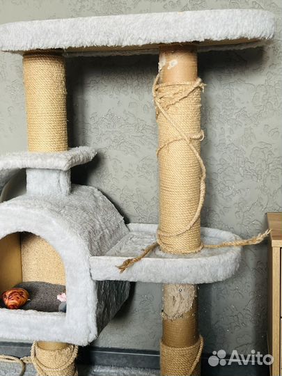 Когтеточка домик для кошки