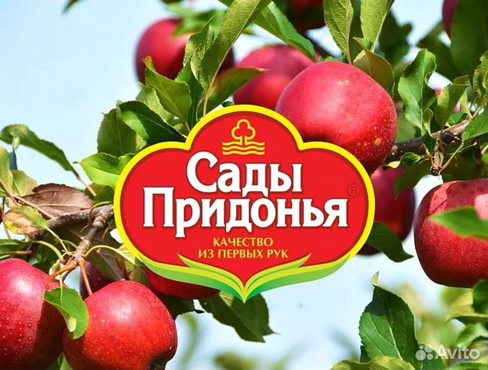 Слесарь по ремонту автомобилей