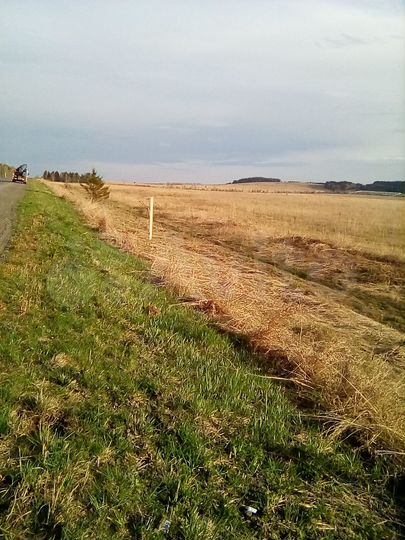 Участок 5,3 га (СНТ, ДНП)