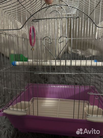 Клетка для попугая