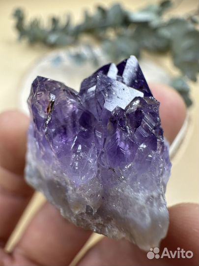 Друза Аметиста