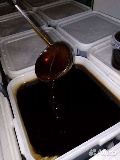 Мëд гречишный