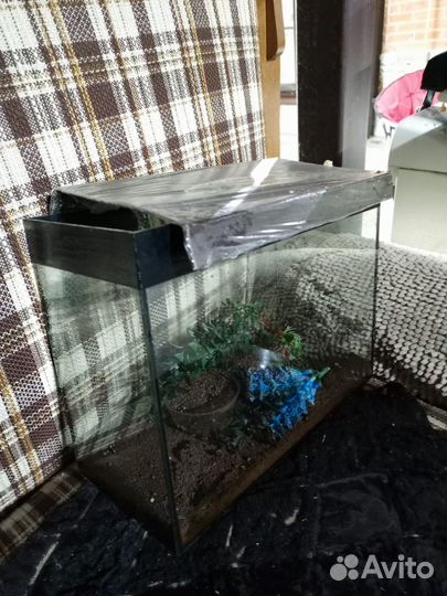 Аквариум для рыбок