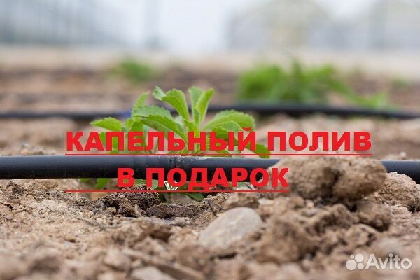 Теплица 3м на 8м Карбонат 6мм