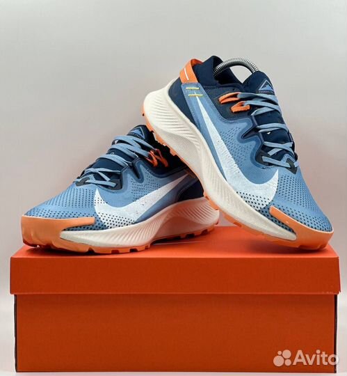 Кроссовки Nike Pegasus Trail 2 мужские c-7855