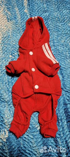 Комбинезон для маленькой собаки