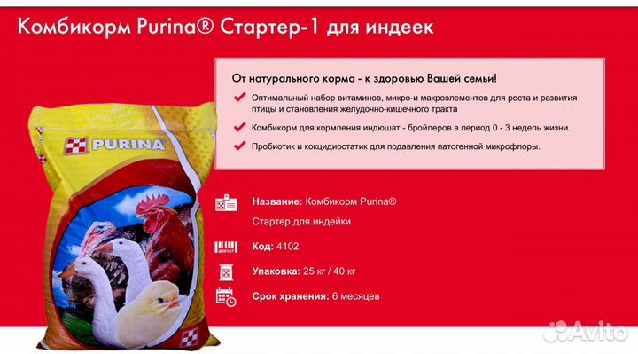 Индюшата суточные (Хайбрид Конвертер, Биг 6)