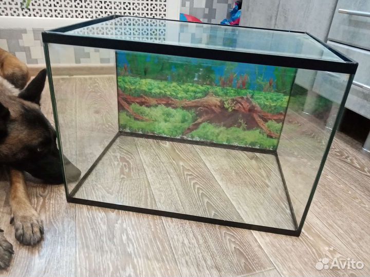 Аквариум 50-60 литровый. Всё есть. 2000 тыс