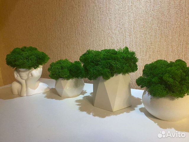 Кашпо со стабилизированным мхом