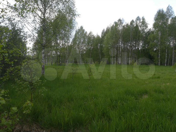 Участок 12 сот. (СНТ, ДНП)