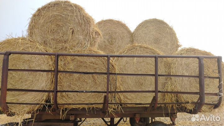 Солома рисовая в рулонах