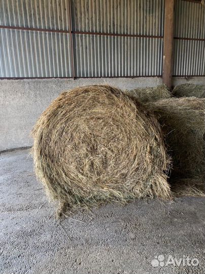 Продажа сена в рулонах