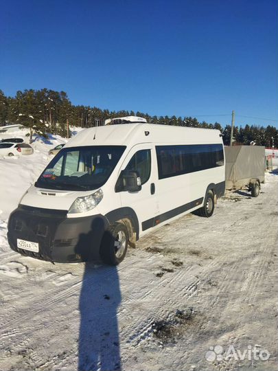 Пассажироперевозки