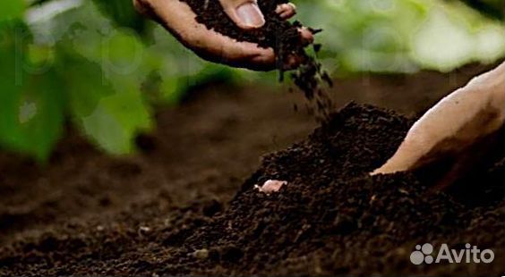 Плодородный грунт