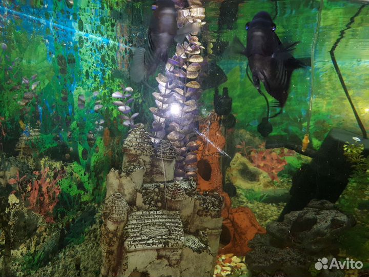 Аквариум с тумбой Jebo 180л