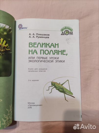 Великан на поляне.А А.Плешаков