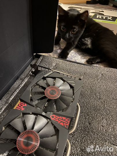Видеокарта Asus GeForce GTX750TI 4GB 1124 MHz