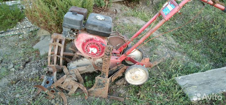 Мотоблоки и культиваторы