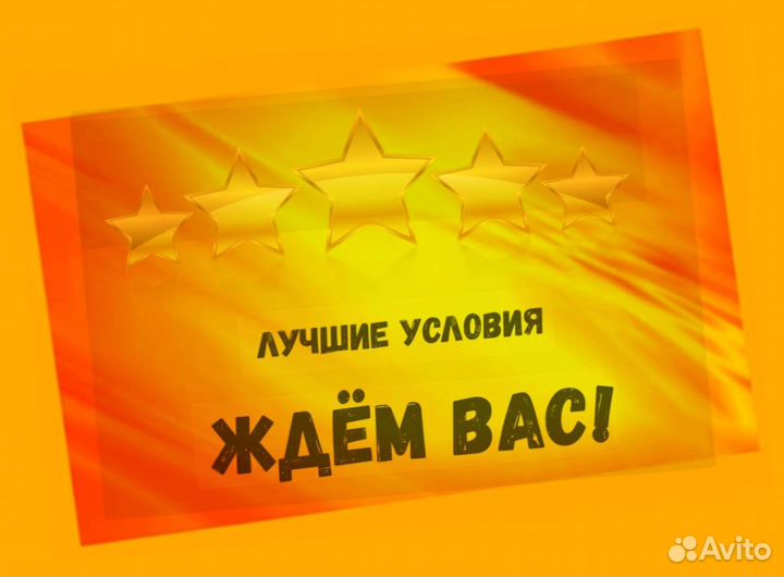 Сборщик заказов Выплаты еженедельно Без опыта М/Ж