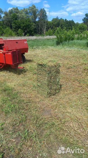 Сено солома в тюках,укос 2023г