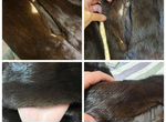 Чистка пошив реставрация шуб и меха ремонт кожи
