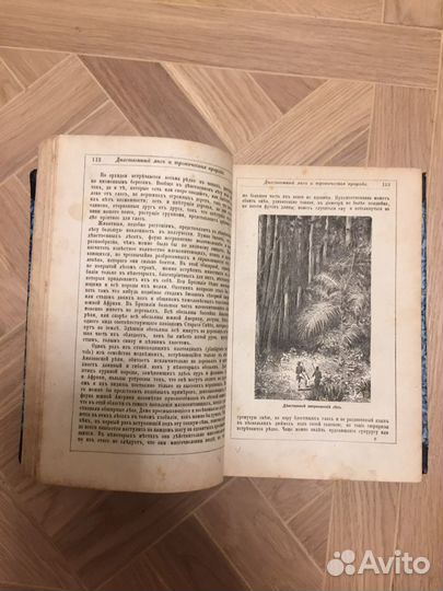 Книги 1800-1900 годов