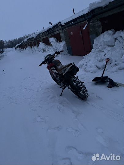 Ирбис ттр 250 r