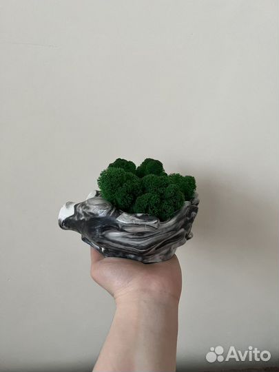 Кашпо руки с стабилизированным мхом