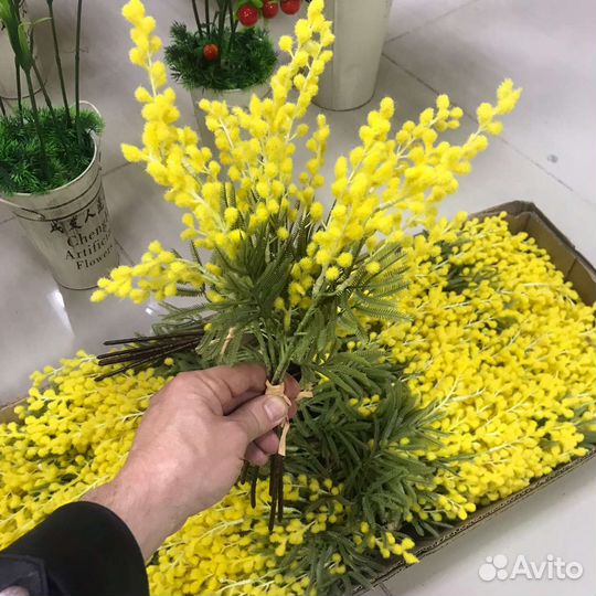 Мимоза искуственная