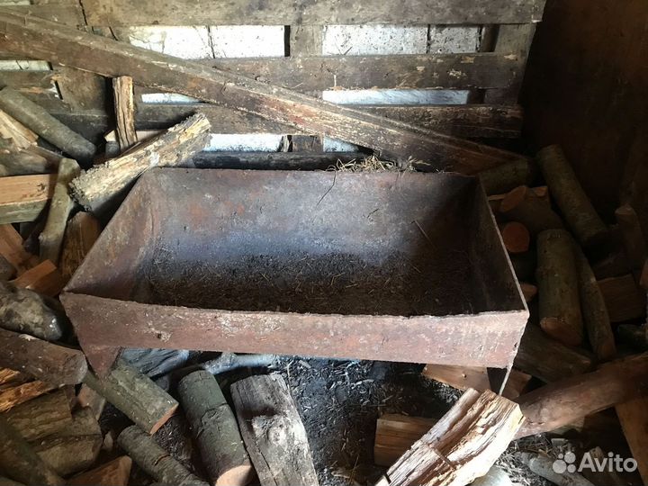 Карыто поросячее