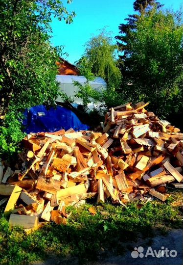Дрова Ольха навалом в Сертолово от производителя